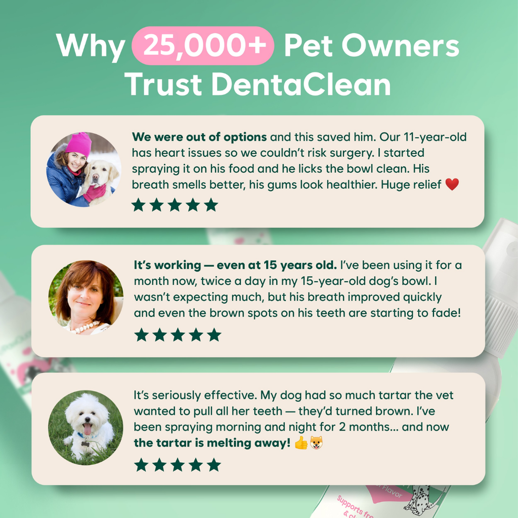 DENTACLEAN® - Dogs/Cats