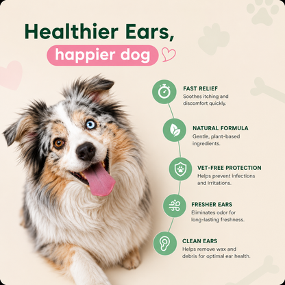 WaxOff® - EarClear